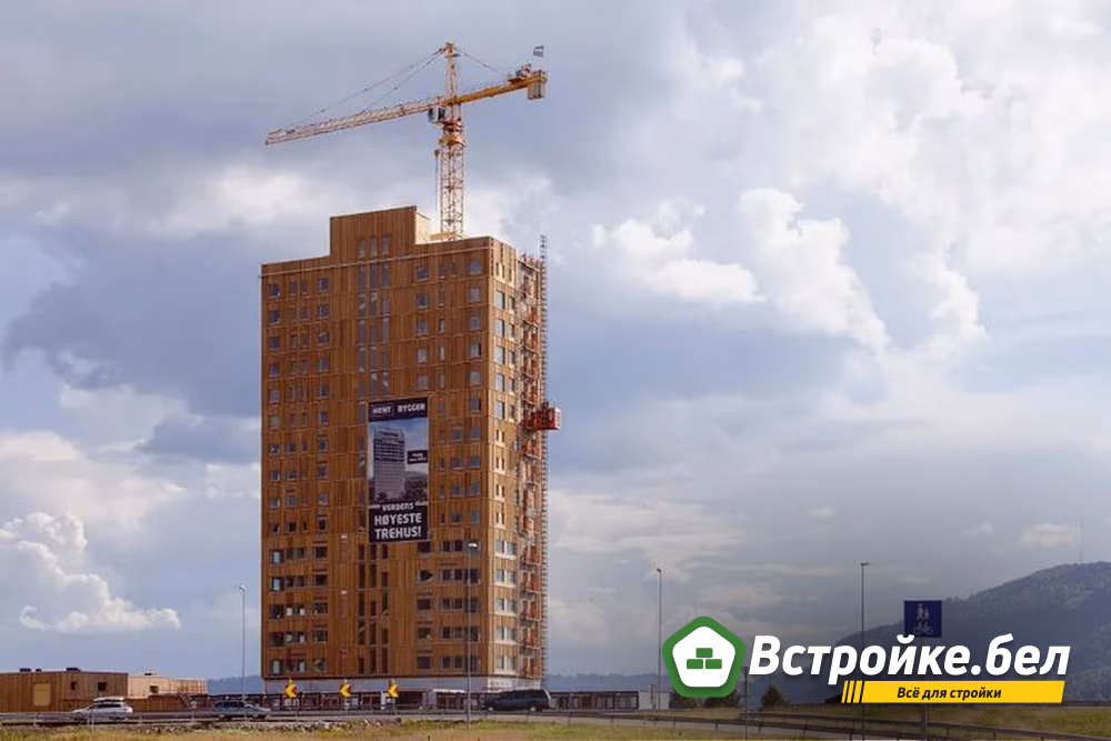 слт 2.jpg